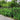 Decorative Garden Fence 44cm (H) x 3m (L)