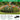 10-Pack Animal Barrier Fence – No-Dig Patio Border for Rabbits & Outdoor Spaces